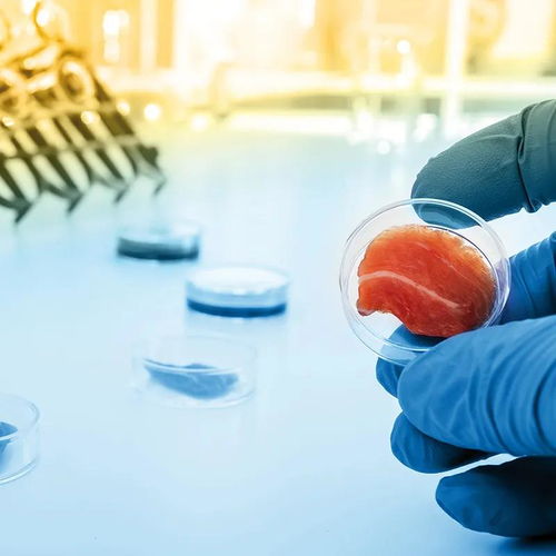 凱愛瑞發布2022全球風味圖譜，帝斯曼成立新食品飲料事業部——有料Weekly技術交流